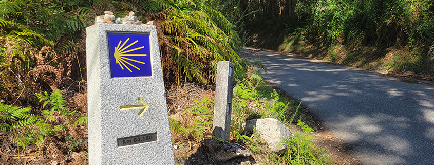 Walking the Camino: A Testament to Growth, Connection, and Resilience