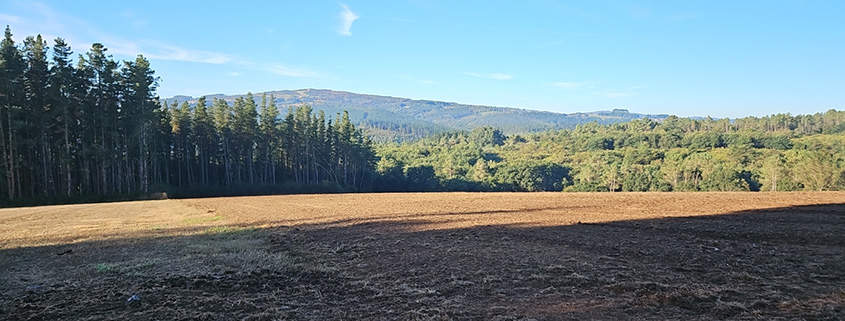 Walking the Camino: A Lesson for Work and Life