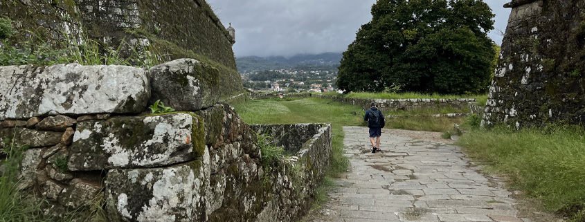 Integrating Lessons from the Camino de Santiago into Corporate Culture