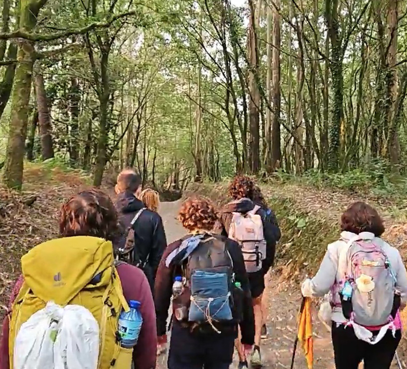 Guided Group Tour French Camino