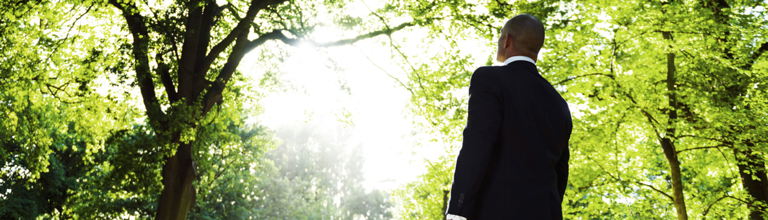 Corporate Experiences